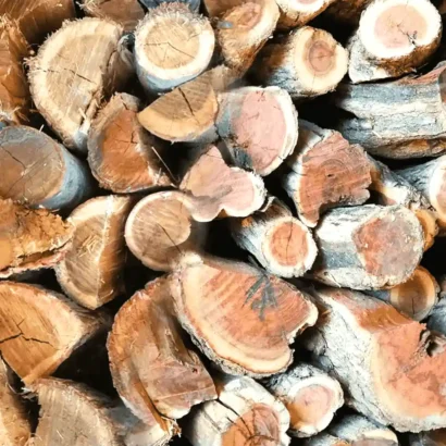 LET'S BRAAI 10kg Rooikrans Braai Wood African Namibian Hardwood